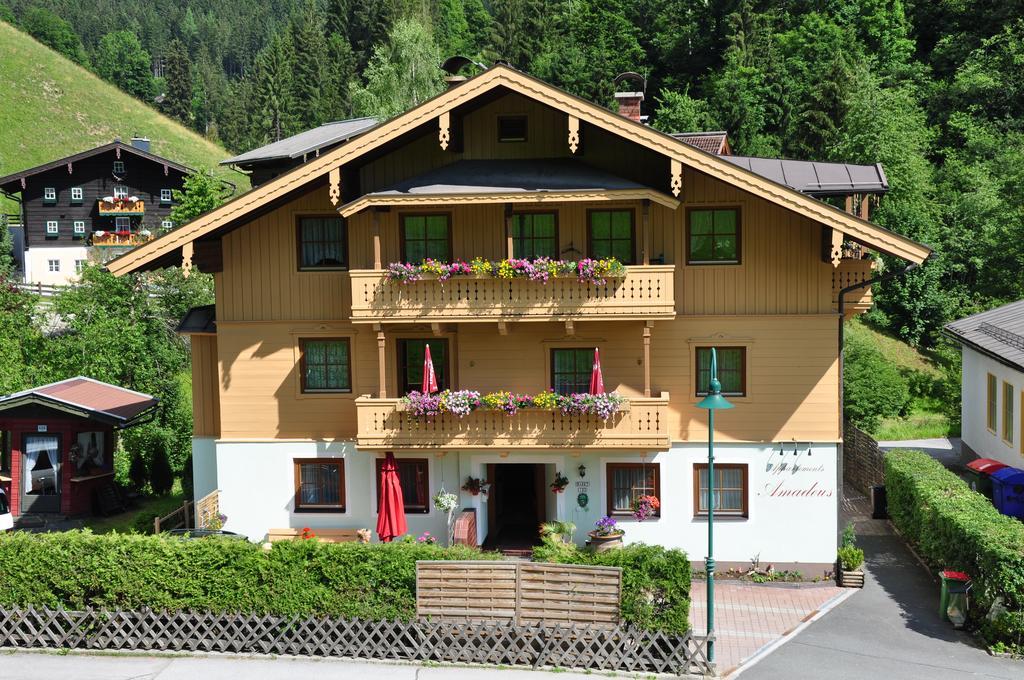 Haus Amadeus Otel Wagrain Dış mekan fotoğraf